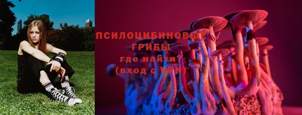 наркотики Алексин