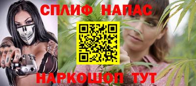 скорость Гатчина