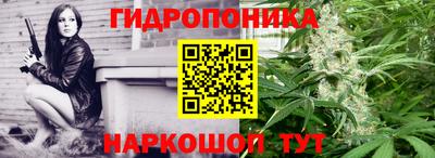 скорость Гатчина