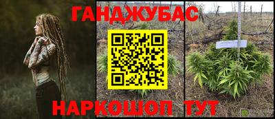 скорость Гатчина