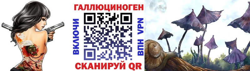 Псилоцибиновые грибы мицелий ОМГ ОМГ как войти Изобильный